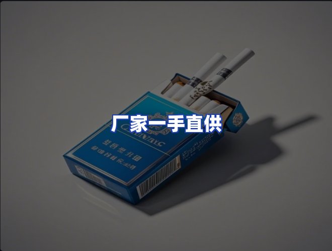 专业团队